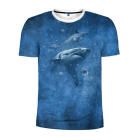 Мужская футболка 3D спортивная с принтом Shark в Кировске, 100% полиэстер с улучшенными характеристиками | приталенный силуэт, круглая горловина, широкие плечи, сужается к линии бедра | fish | ocean | акула | вода | животные | море | океан | рыба | челюсти