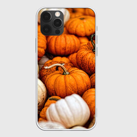 Чехол для iPhone 12 Pro Max с принтом тыквы в Кировске, Силикон |  | halloween | дача | овощи | октябрь | оранжевый | осень | сентябрь | тыква | хеллуин