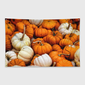 Флаг-баннер с принтом тыквы в Кировске, 100% полиэстер | размер 67 х 109 см, плотность ткани — 95 г/м2; по краям флага есть четыре люверса для крепления | halloween | дача | овощи | октябрь | оранжевый | осень | сентябрь | тыква | хеллуин