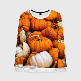 Мужской свитшот 3D с принтом тыквы в Кировске, 100% полиэстер с мягким внутренним слоем | круглый вырез горловины, мягкая резинка на манжетах и поясе, свободная посадка по фигуре | Тематика изображения на принте: halloween | дача | овощи | октябрь | оранжевый | осень | сентябрь | тыква | хеллуин