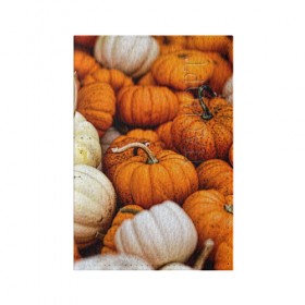 Обложка для паспорта матовая кожа с принтом тыквы в Кировске, натуральная матовая кожа | размер 19,3 х 13,7 см; прозрачные пластиковые крепления | Тематика изображения на принте: halloween | дача | овощи | октябрь | оранжевый | осень | сентябрь | тыква | хеллуин
