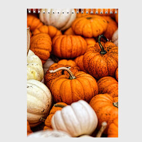 Скетчбук с принтом тыквы в Кировске, 100% бумага
 | 48 листов, плотность листов — 100 г/м2, плотность картонной обложки — 250 г/м2. Листы скреплены сверху удобной пружинной спиралью | Тематика изображения на принте: halloween | дача | овощи | октябрь | оранжевый | осень | сентябрь | тыква | хеллуин
