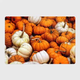 Магнитный плакат 3Х2 с принтом тыквы в Кировске, Полимерный материал с магнитным слоем | 6 деталей размером 9*9 см | halloween | дача | овощи | октябрь | оранжевый | осень | сентябрь | тыква | хеллуин