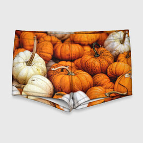 Мужские купальные плавки 3D с принтом тыквы в Кировске, Полиэстер 85%, Спандекс 15% |  | Тематика изображения на принте: halloween | дача | овощи | октябрь | оранжевый | осень | сентябрь | тыква | хеллуин