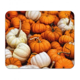 Коврик прямоугольный с принтом тыквы в Кировске, натуральный каучук | размер 230 х 185 мм; запечатка лицевой стороны | Тематика изображения на принте: halloween | дача | овощи | октябрь | оранжевый | осень | сентябрь | тыква | хеллуин