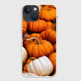 Чехол для iPhone 13 mini с принтом тыквы в Кировске,  |  | halloween | дача | овощи | октябрь | оранжевый | осень | сентябрь | тыква | хеллуин