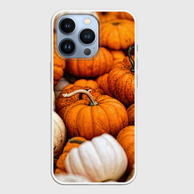 Чехол для iPhone 13 Pro с принтом тыквы в Кировске,  |  | halloween | дача | овощи | октябрь | оранжевый | осень | сентябрь | тыква | хеллуин