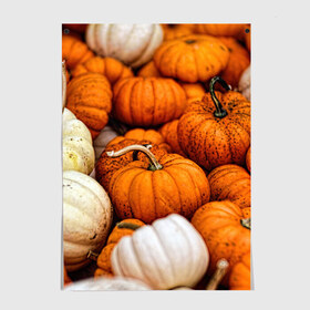 Постер с принтом тыквы в Кировске, 100% бумага
 | бумага, плотность 150 мг. Матовая, но за счет высокого коэффициента гладкости имеет небольшой блеск и дает на свету блики, но в отличии от глянцевой бумаги не покрыта лаком | halloween | дача | овощи | октябрь | оранжевый | осень | сентябрь | тыква | хеллуин
