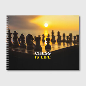 Альбом для рисования с принтом Шахматы - это жизнь в Кировске, 100% бумага
 | матовая бумага, плотность 200 мг. | chess | game | sport | гроссмейстер | закат | игра | интеллект | солнце | спорт | фигура | шахматист | шахматы