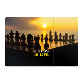 Магнитный плакат 3Х2 с принтом Шахматы - это жизнь в Кировске, Полимерный материал с магнитным слоем | 6 деталей размером 9*9 см | chess | game | sport | гроссмейстер | закат | игра | интеллект | солнце | спорт | фигура | шахматист | шахматы