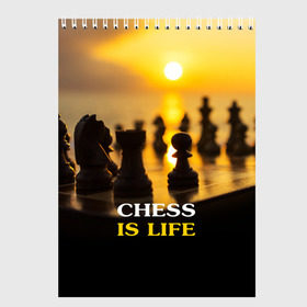 Скетчбук с принтом Шахматы - это жизнь в Кировске, 100% бумага
 | 48 листов, плотность листов — 100 г/м2, плотность картонной обложки — 250 г/м2. Листы скреплены сверху удобной пружинной спиралью | chess | game | sport | гроссмейстер | закат | игра | интеллект | солнце | спорт | фигура | шахматист | шахматы