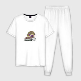 Мужская пижама хлопок с принтом Ёжик в Кировске, 100% хлопок | брюки и футболка прямого кроя, без карманов, на брюках мягкая резинка на поясе и по низу штанин
 |  ежик