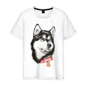Мужская футболка хлопок с принтом Маламут в Кировске, 100% хлопок | прямой крой, круглый вырез горловины, длина до линии бедер, слегка спущенное плечо. | аляска | карандаш | маламут | рисунок | собака | хаски