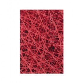 Обложка для паспорта матовая кожа с принтом Сетка в Кировске, натуральная матовая кожа | размер 19,3 х 13,7 см; прозрачные пластиковые крепления | красный | модные | пластик | сети | сетка | текстура | цвет