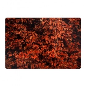 Магнитный плакат 3Х2 с принтом осенние листья в Кировске, Полимерный материал с магнитным слоем | 6 деталей размером 9*9 см | 