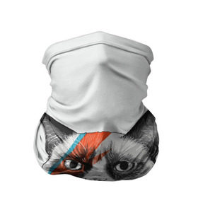 Бандана-труба 3D с принтом Grumpy cat (David Bowie) в Кировске, 100% полиэстер, ткань с особыми свойствами — Activecool | плотность 150‒180 г/м2; хорошо тянется, но сохраняет форму | Тематика изображения на принте: бодиарт | грумпи | дэвид боуи | злой кот | интернет | котей | котик | кошка | мем | мемас | мемчик. | молния на лице | рисунок на лице | сердитый