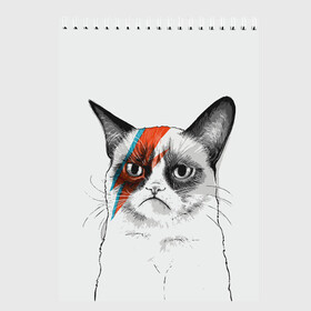 Скетчбук с принтом Grumpy cat (David Bowie) в Кировске, 100% бумага
 | 48 листов, плотность листов — 100 г/м2, плотность картонной обложки — 250 г/м2. Листы скреплены сверху удобной пружинной спиралью | Тематика изображения на принте: бодиарт | грумпи | дэвид боуи | злой кот | интернет | котей | котик | кошка | мем | мемас | мемчик. | молния на лице | рисунок на лице | сердитый