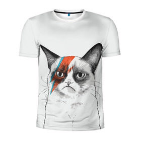 Мужская футболка 3D спортивная с принтом Grumpy cat (David Bowie) в Кировске, 100% полиэстер с улучшенными характеристиками | приталенный силуэт, круглая горловина, широкие плечи, сужается к линии бедра | бодиарт | грумпи | дэвид боуи | злой кот | интернет | котей | котик | кошка | мем | мемас | мемчик. | молния на лице | рисунок на лице | сердитый