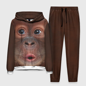 Мужской костюм 3D (с толстовкой) с принтом Орангутанг BigFace в Кировске,  |  | Тематика изображения на принте: bigface | глаза | голова | животные | лицо | обезьяна | орангутанг | рот