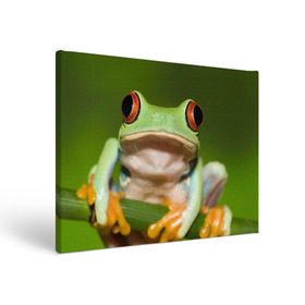 Холст прямоугольный с принтом Лягушка в Кировске, 100% ПВХ |  | Тематика изображения на принте: frog | жаба | животные | зеленый | ква | лягуха | лягушка | лягушонок