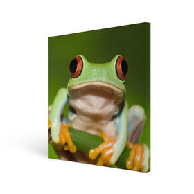 Холст квадратный с принтом Лягушка в Кировске, 100% ПВХ |  | frog | жаба | животные | зеленый | ква | лягуха | лягушка | лягушонок