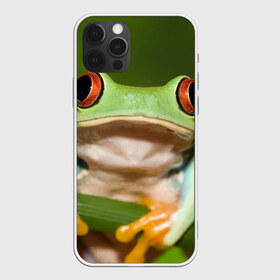 Чехол для iPhone 12 Pro Max с принтом Лягушка в Кировске, Силикон |  | Тематика изображения на принте: frog | жаба | животные | зеленый | ква | лягуха | лягушка | лягушонок
