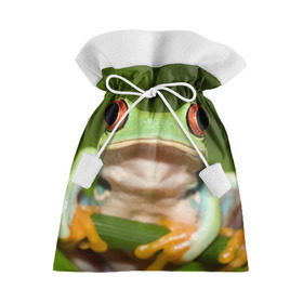 Подарочный 3D мешок с принтом Лягушка в Кировске, 100% полиэстер | Размер: 29*39 см | Тематика изображения на принте: frog | жаба | животные | зеленый | ква | лягуха | лягушка | лягушонок