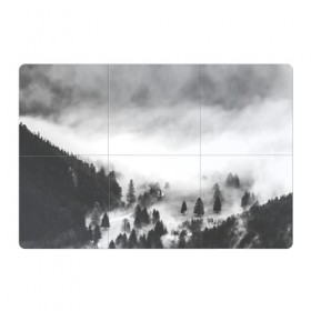 Магнитный плакат 3Х2 с принтом Туманный лес в Кировске, Полимерный материал с магнитным слоем | 6 деталей размером 9*9 см | Тематика изображения на принте: бор | деревья | дым | елки | лес | природа | туман | чб | черно белое