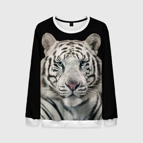 Мужской свитшот 3D с принтом White tiger в Кировске, 100% полиэстер с мягким внутренним слоем | круглый вырез горловины, мягкая резинка на манжетах и поясе, свободная посадка по фигуре | tiger white | белый тигр | дикая кошка | тигр