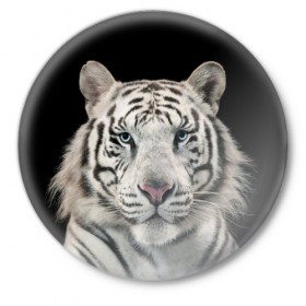 Значок с принтом White tiger в Кировске,  металл | круглая форма, металлическая застежка в виде булавки | Тематика изображения на принте: tiger white | белый тигр | дикая кошка | тигр
