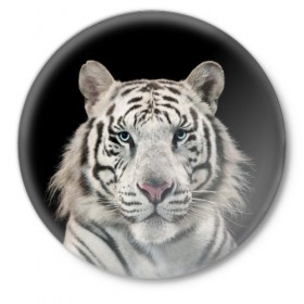 Значок с принтом White tiger в Кировске,  металл | круглая форма, металлическая застежка в виде булавки | tiger white | белый тигр | дикая кошка | тигр