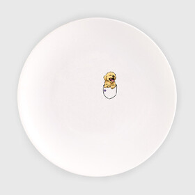 Тарелка с принтом Собачка в кармане в Кировске, фарфор | диаметр - 210 мм
диаметр для нанесения принта - 120 мм | Тематика изображения на принте: год собаки | новый год | собака