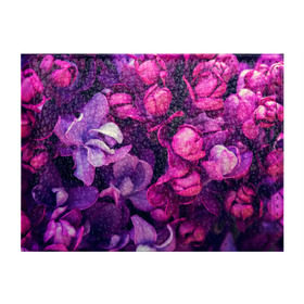 Обложка для студенческого билета с принтом цветы в Кировске, натуральная кожа | Размер: 11*8 см; Печать на всей внешней стороне | botany | bouquet | flowers | fuchsia | leaves | magnolia | peony | pink | vintage | ботаника | букет | винтаж | листья | магнолия | пион | розовый | фуксия | цветы