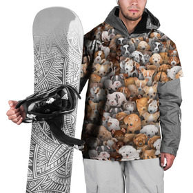 Накидка на куртку 3D с принтом Щенки в Кировске, 100% полиэстер |  | Тематика изображения на принте: бультерьер | корги | мопс | паттерн | пес | питбуль | породы | собака | собачка | хаски | щенок