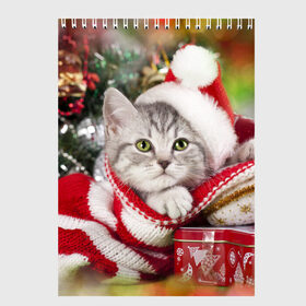 Скетчбук с принтом Новогодний котик в Кировске, 100% бумага
 | 48 листов, плотность листов — 100 г/м2, плотность картонной обложки — 250 г/м2. Листы скреплены сверху удобной пружинной спиралью | елка | зима | кот | котейка | кошка | мороз | новый год | снег