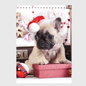 Скетчбук с принтом Новогодние чудеса в Кировске, 100% бумага
 | 48 листов, плотность листов — 100 г/м2, плотность картонной обложки — 250 г/м2. Листы скреплены сверху удобной пружинной спиралью | елка | новый год | пес | снег | снежинки | собака | щенок