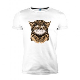 Мужская футболка премиум с принтом Котёнок в Кировске, 92% хлопок, 8% лайкра | приталенный силуэт, круглый вырез ворота, длина до линии бедра, короткий рукав | cat | животные | киса | кот | котенок | котик | кошка | сон | спит