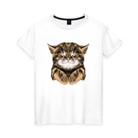 Женская футболка хлопок с принтом Котёнок в Кировске, 100% хлопок | прямой крой, круглый вырез горловины, длина до линии бедер, слегка спущенное плечо | cat | животные | киса | кот | котенок | котик | кошка | сон | спит