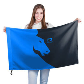 Флаг 3D с принтом Team Liquid Uniform в Кировске, 100% полиэстер | плотность ткани — 95 г/м2, размер — 67 х 109 см. Принт наносится с одной стороны | 