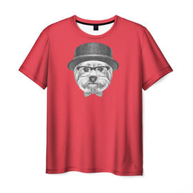 Мужская футболка 3D с принтом Йоркширский терьер в шляпе в Кировске, 100% полиэфир | прямой крой, круглый вырез горловины, длина до линии бедер | домашние животные | пес | собака | терьер