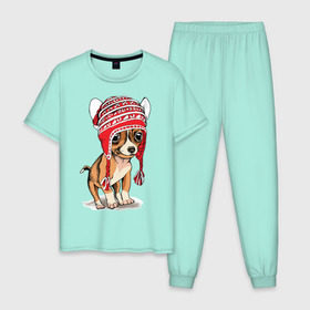 Мужская пижама хлопок с принтом Чихуахуа в шапочке в Кировске, 100% хлопок | брюки и футболка прямого кроя, без карманов, на брюках мягкая резинка на поясе и по низу штанин
 | домашние животные | пес | песик | собака | собачка | чихуахуа
