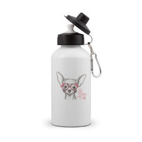 Бутылка спортивная с принтом Чихуахуа в розовых очках в Кировске, металл | емкость — 500 мл, в комплекте две пластиковые крышки и карабин для крепления | домашние животные | пес | собака