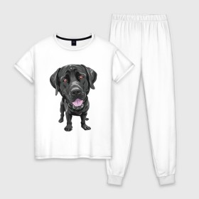Женская пижама хлопок с принтом Черный лабрадор в Кировске, 100% хлопок | брюки и футболка прямого кроя, без карманов, на брюках мягкая резинка на поясе и по низу штанин | домашние животные | лабрадоры | пес | песик | ретриверы | собака | собачка