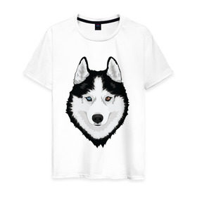 Мужская футболка хлопок с принтом Хаски с разными глазами в Кировске, 100% хлопок | прямой крой, круглый вырез горловины, длина до линии бедер, слегка спущенное плечо. | домашние животные | пес | собака
