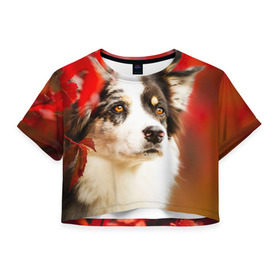Женская футболка 3D укороченная с принтом Бордер колли в красных листьях в Кировске, 100% полиэстер | круглая горловина, длина футболки до линии талии, рукава с отворотами | border collie | dog | бордер колли | красный | листья | осень | собака