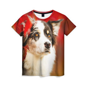 Женская футболка 3D с принтом Бордер колли в красных листьях в Кировске, 100% полиэфир ( синтетическое хлопкоподобное полотно) | прямой крой, круглый вырез горловины, длина до линии бедер | border collie | dog | бордер колли | красный | листья | осень | собака