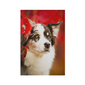 Обложка для паспорта матовая кожа с принтом Бордер колли в красных листьях в Кировске, натуральная матовая кожа | размер 19,3 х 13,7 см; прозрачные пластиковые крепления | Тематика изображения на принте: border collie | dog | бордер колли | красный | листья | осень | собака