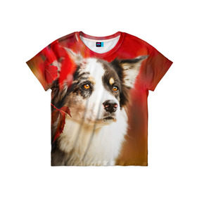 Детская футболка 3D с принтом Бордер колли в красных листьях в Кировске, 100% гипоаллергенный полиэфир | прямой крой, круглый вырез горловины, длина до линии бедер, чуть спущенное плечо, ткань немного тянется | border collie | dog | бордер колли | красный | листья | осень | собака