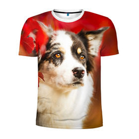 Мужская футболка 3D спортивная с принтом Бордер колли в красных листьях в Кировске, 100% полиэстер с улучшенными характеристиками | приталенный силуэт, круглая горловина, широкие плечи, сужается к линии бедра | border collie | dog | бордер колли | красный | листья | осень | собака
