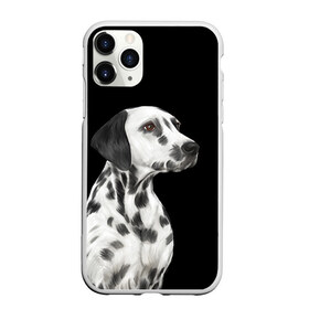 Чехол для iPhone 11 Pro матовый с принтом Далматинец арт в Кировске, Силикон |  | далматин | далматинец | домашние животные | пес | песик | собака | собачка | терьер | шпиц